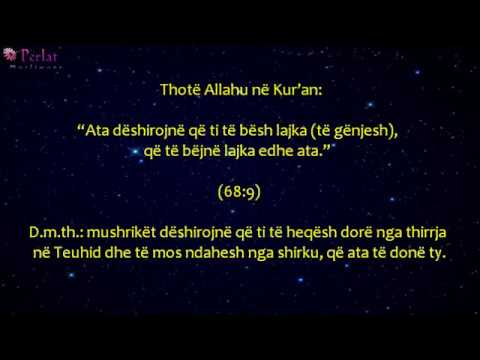 Teuhidi është ai që duhet t'i bashkon zemrat tona - Al esh-Shejkh