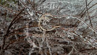 [Future House] PBH & Jack Shizzle - Ayla (Extended Mix)