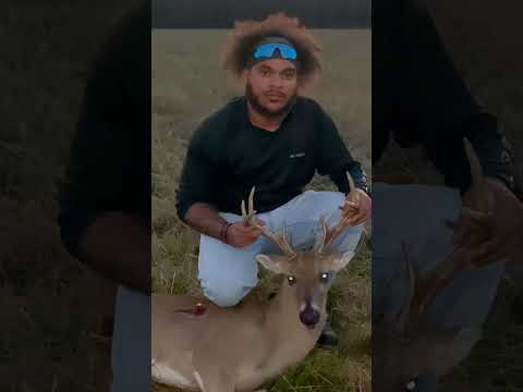 Deer Season XP Overview