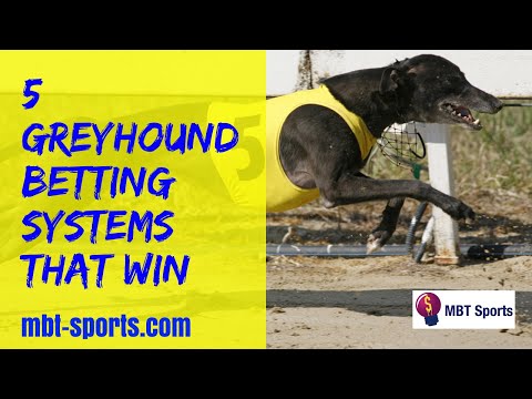 5 Greyhound Betting Systems That Win