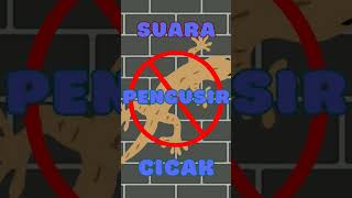 Download lagu suara pengusir cicak mp3