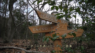 2018.1.20 西脇・矢筈山(363m)