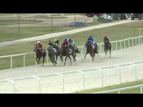 2017.07.02. 2. futam - ALBORAC HENDIKEP (V.o.) (szintetikus pálya)