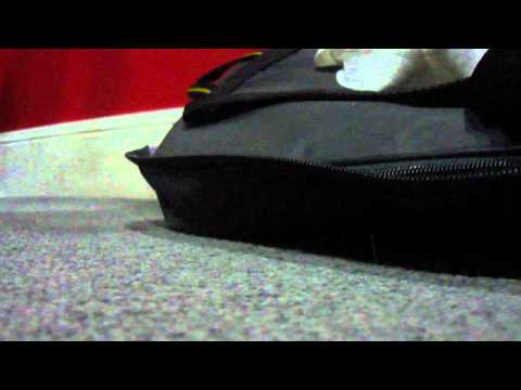 el fan de wanda - los berluscas