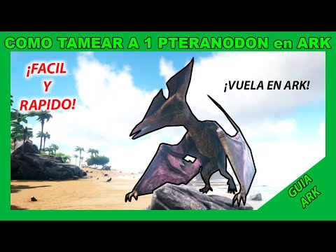 ✔️ COMO TAMEAR un PTERANODON en ARK [FÁCIL y RÁPIDO] | guía ark survival evolved español ✔️