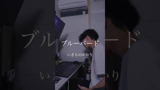 ブルーバード/いきものがかり　covered by PARED 블루버드 불렀어!   #歌ってみた #cover #ナルト　#いきものがかり