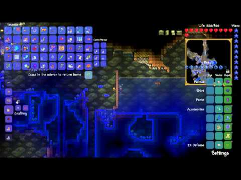 Terraria bee search & fishing