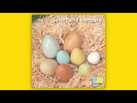 Slide 5 - Size Sorting Eggs, Set of 8 (video)