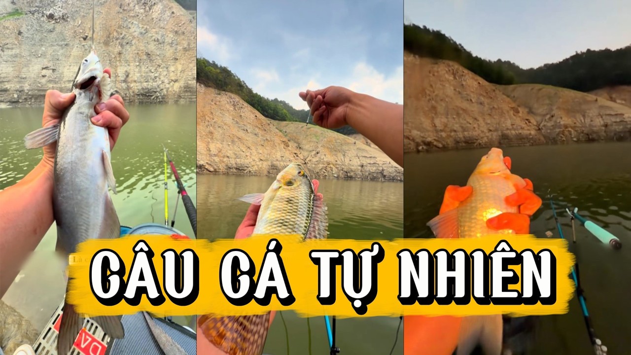 Trải nghiệm câu cá hồ tự nhiên sẽ bắt được cá gì?