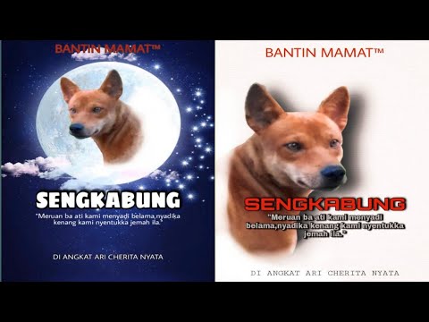 Jerita Uduk ka benama Sengkabung belaban enggau engkuli nyentuk ka mati...(with subtitles)