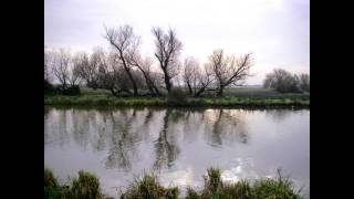 Barb Jungr - Not Dark Yet