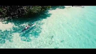 Download lagu Wedding of Vicardy-Miracle mp3 Download lagu Wedding of Vicardy-Miracle mp3