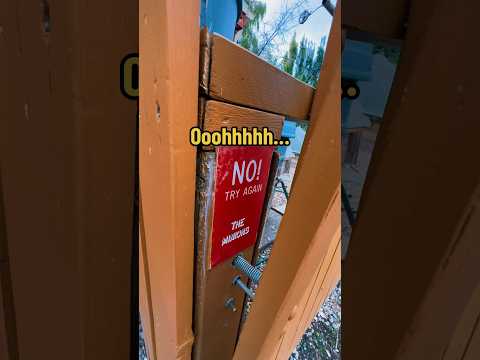 Could you find this cache that the MINIONS hid? 🔍 I found just a FEW minor decoys along the way! 🤯