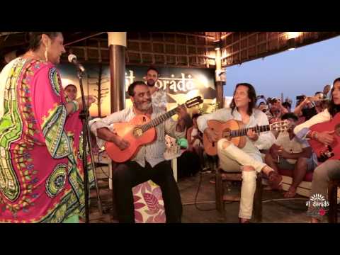 Remedios Amaya, Tomatito, Paquete y Piraña en Los directos