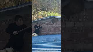 Use A Spade To Remove A Big Wasp Nest !