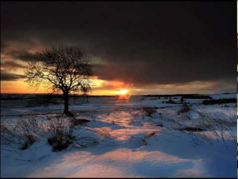 ALIUKAI - KAI ATEIS VAKARAI 1984