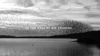 Video thumbnail for Spitfire Presents: Harp Swarm Teaser by Spitfire Audio