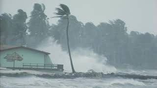 HURRICANE WHO? | LISTEN AND READ | B1.1 | MOETENGLISHCLUB.COM