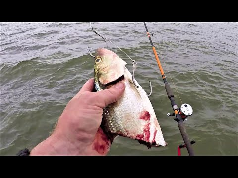 download lagu mp3 mp4 Heather Randall Net Worth, download lagu Heather Randall Net Worth gratis, unduh video klip Heather Randall Net Worth