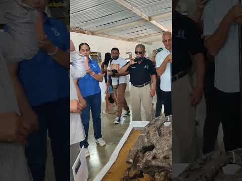 NUEVA EXPOSICIÓN PALEONTOLÓGICA SOBRE URUMACO