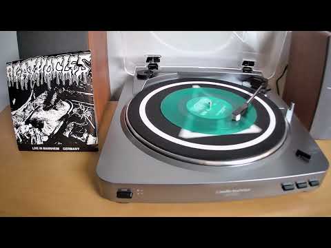 Agathocles - Nyctophobic - split 7 inch