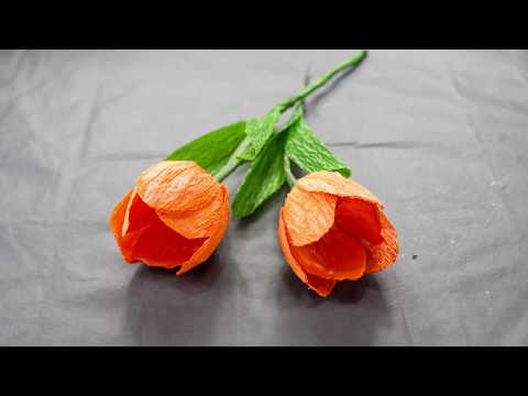 DIY - How to Make Tulip Flower from Crepe Paper | Realistic and easy | Paper Craft