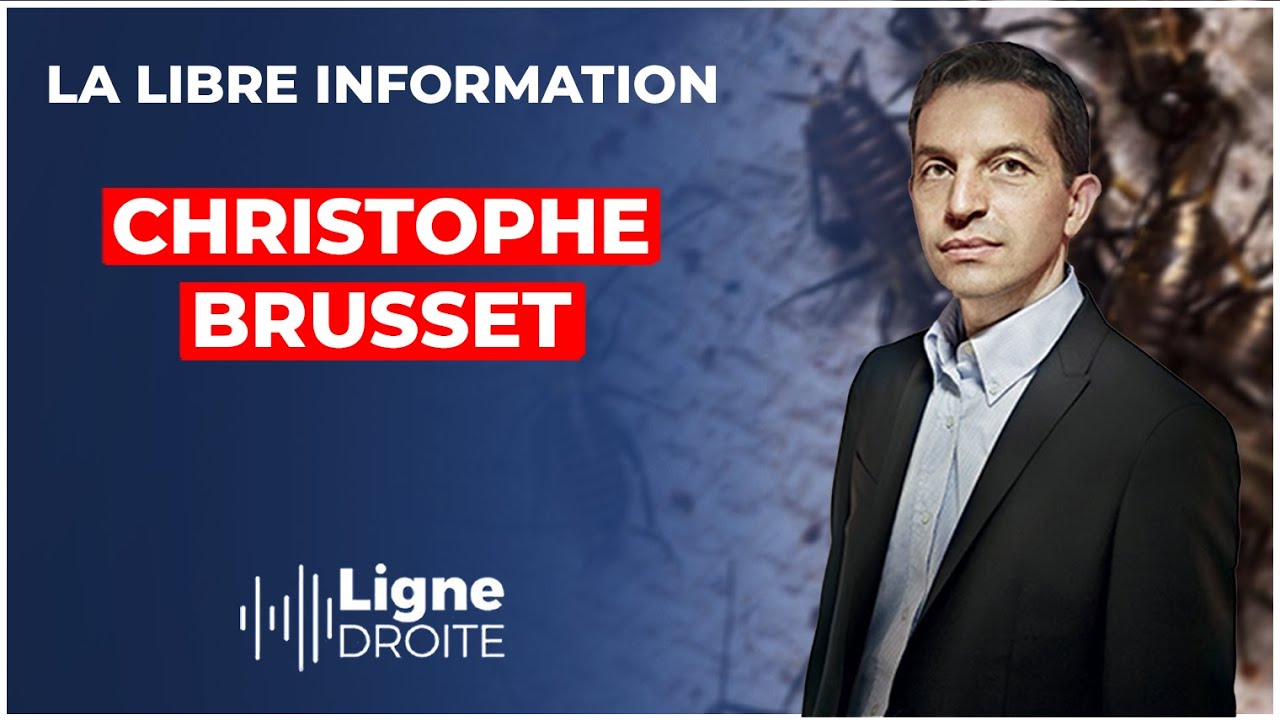Comment les industriels nous obligent à manger des insectes - Christophe Brusset