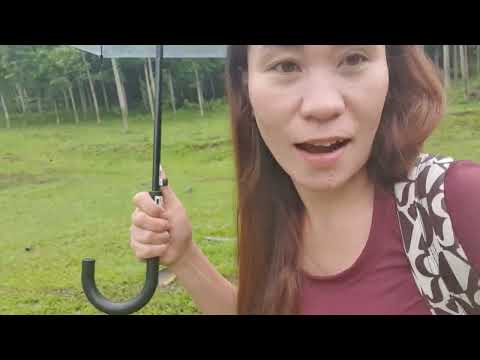 Rosel and Vaniza on a small "Walkabout".