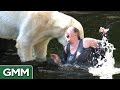 5 Dumbest Zoo Animal Encounters 