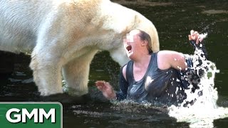 5 Dumbest Zoo Animal Encounters