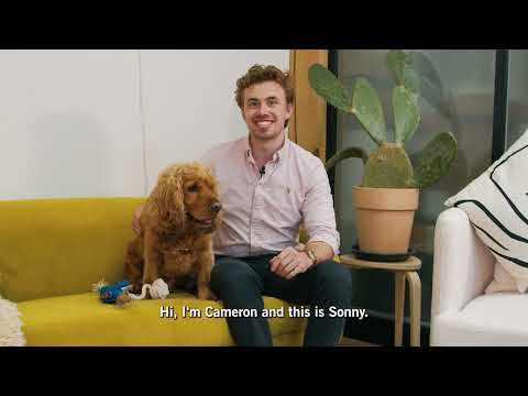 Sonny's owner Cameron discusses the benefits of feeding Butcher's Lean & Tasty 💙