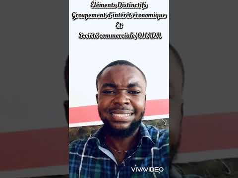 Société commerciale vs Groupement d’intérêt économique (OHADA)