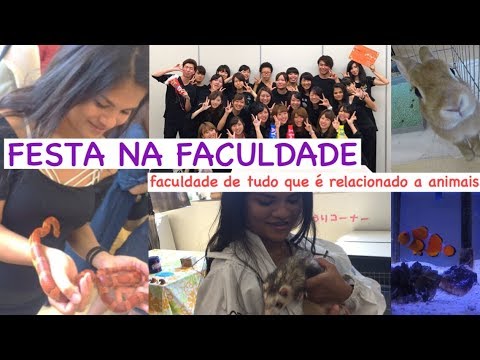 学園祭 : festa na faculdade ( faculdade de tudo relacionado com animais)