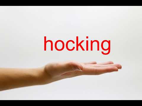 How to Pronounce hocking - American English