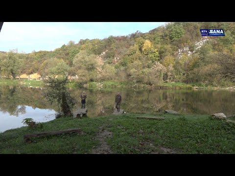 Hronika Sana 25.10.2022.