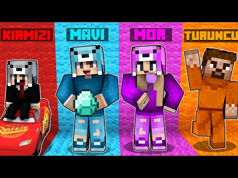 AİLECEK TEK RENK CHALLENGE 😱 - Minecraft