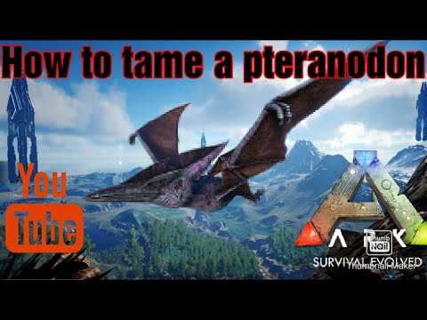 Ark - How To Tame A Pteranodon In Ark