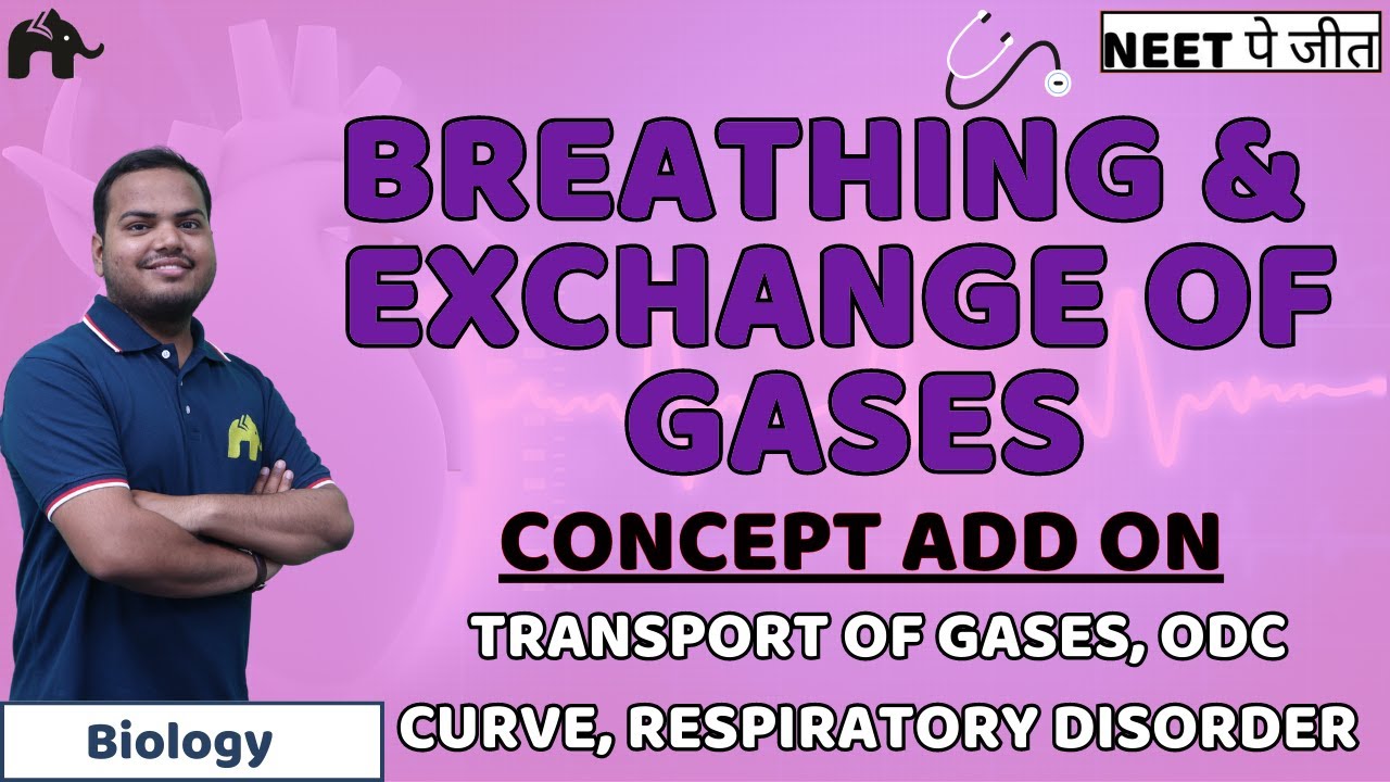 Breathing And Exchange of Gases Class 11 NEET - Transport of Oxygen, Respiratory Disorders Biology