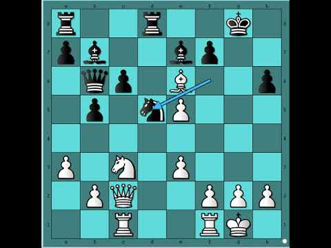 Dvostruka žrtva je bila dovoljna za pobedu ‼️   🔻🔺️🔻🔺️🔻               SHAMKOVICH vs ANGUIANO #2576