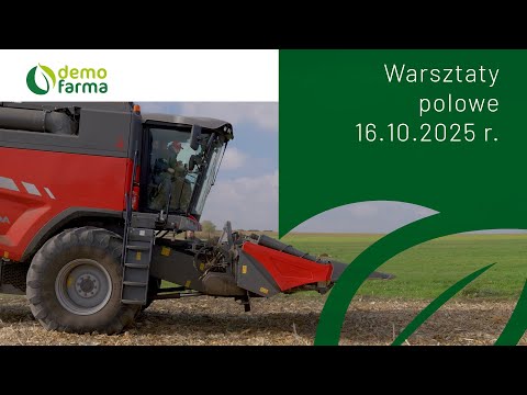 Film na temat: { video.title }}