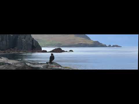 Cabo de hornos, el fin del mapa