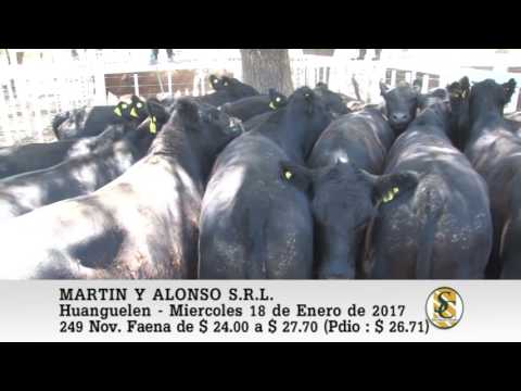 18-01-17 Venta de Novillos para Faena - Martin y Alonso S.R.L. - Huanguelen.