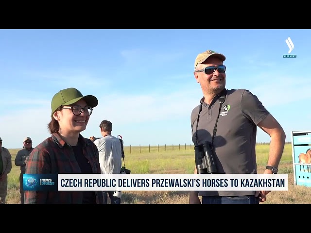 Kazakistan'a Çek Cumhuriyeti'nden Przewalski atları getirildi