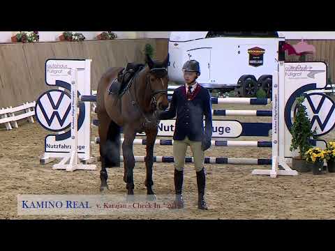 Kamino Real v. Karajan - Check In - Don Juan