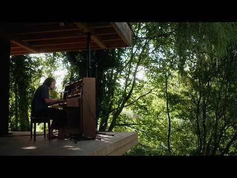 A piano lost in the woods - Lysten