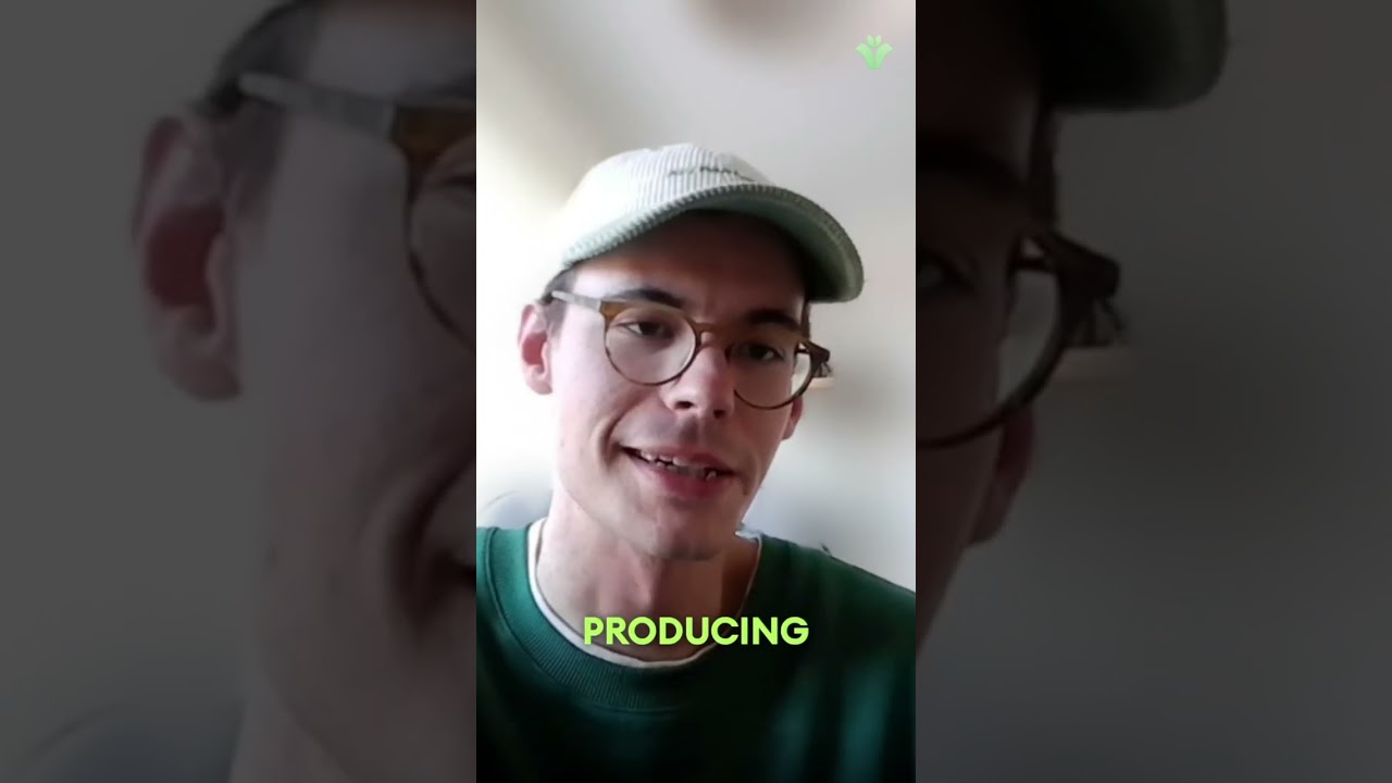 Letters, Lines, and the Spaces Between