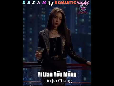 YILIAN YOU MENG     LIU JIA CHANG