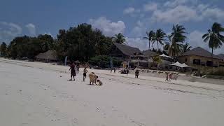 Paje White Sand Beach Zanzibar