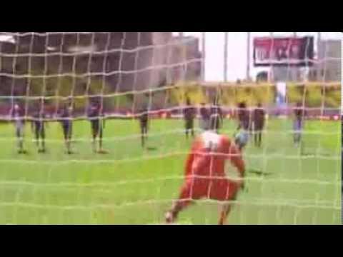 Radamel Falcao Goal (penalty) 1 0 Monaco - Lorient 15.09.2013