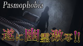 【phasmophobia】ビビりすぎて調査がすすまない幽霊調査隊【セミプロ】
